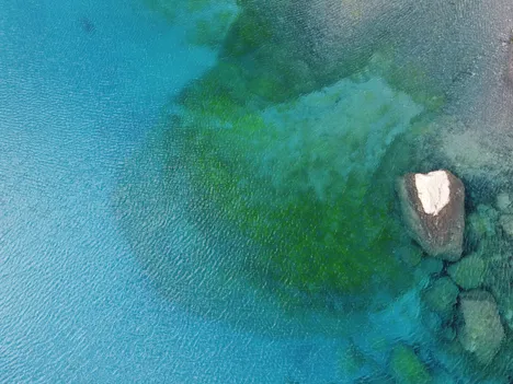 Aydarkul Lake