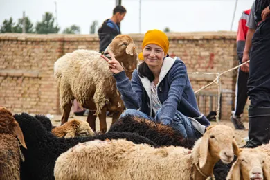 Messen und Reisevorträge im Winter 2025/2026